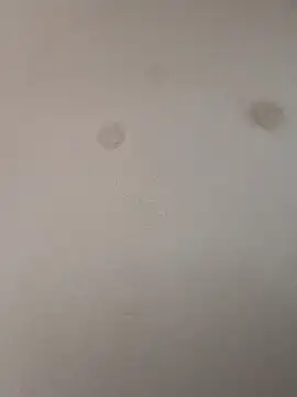 geilerschwanz64 online show from 01-09-25, 09:05