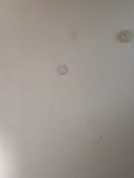 geilerschwanz64 online show from 01-10-25, 07:04