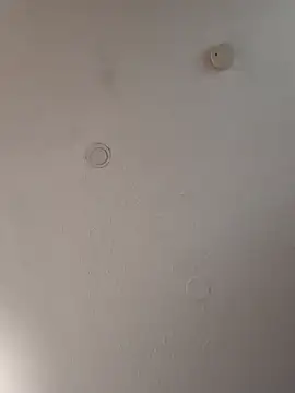 geilerschwanz64 online show from 01-18-25, 11:21