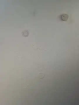 geilerschwanz64 online show from 03-20-25, 10:18