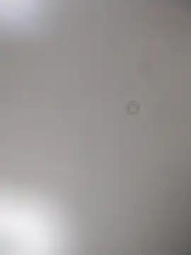 geilerschwanz64 online show from 10-15-25, 09:59