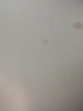 geilerschwanz64 online show from 11-26-25, 08:21