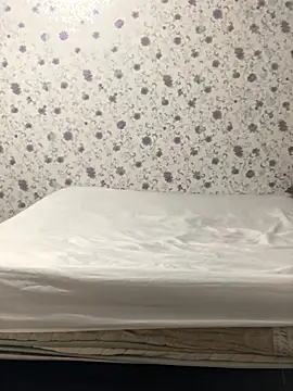 ahross online show from 10-04-25, 11:08