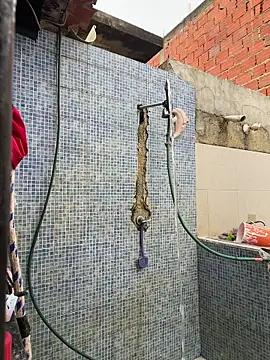 Leo bunny hot online show from 11-30-25, 08:46