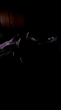 Snapshot of Imthegoattt chatting on 12-12-24, 11:47 Imthegoattt online show from 12-12-24, 11:47