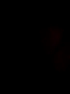 stevenp online show from 11-02-25, 07:22