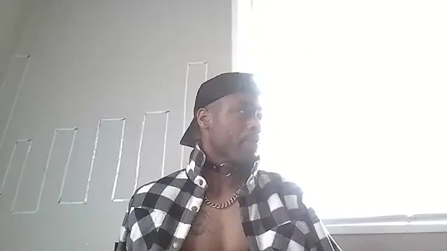 PETER-RABIT online show from 12-29-24, 02:21