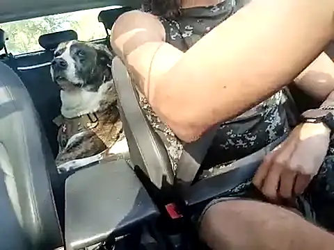 Snapshot of FRANKY_nycc1978 chatting on 10-10-25, 09:30 FRANKY nycc1978 online show from 10-10-25, 09:30