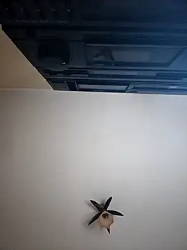 vulpe8400 online show from 04-08-26, 10:10