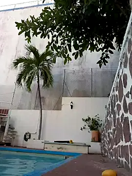 elcobin online show from 02-12-25, 09:54