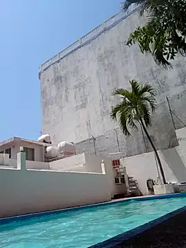 elcobin online show from 03-20-25, 06:31