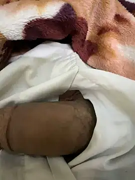 Snapshot of hamed-697 chatting on 12-09-24, 11:24 hamed-697 online show from 12-09-24, 11:24