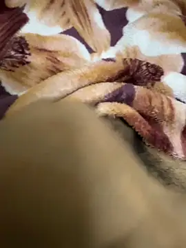 Snapshot of hamed-697 chatting on 12-16-24, 08:48 hamed-697 online show from 12-16-24, 08:48