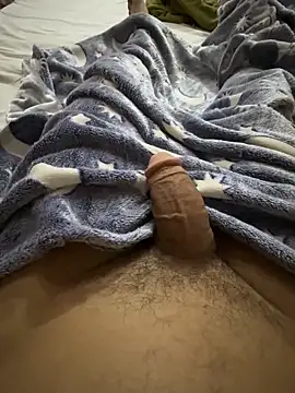 Snapshot of hamed-697 chatting on 02-01-26, 08:46 hamed-697 online show from 02-01-26, 08:46