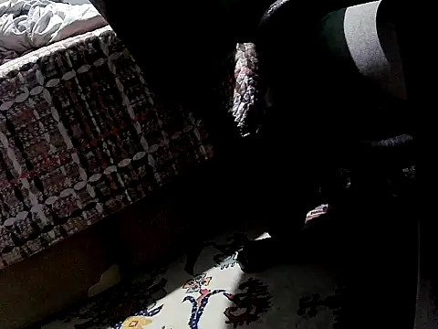 Snapshot of O_Black123 chatting on 10-12-25, 05:12 O Black123 online show from 10-12-25, 05:12