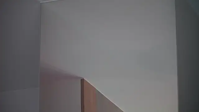 DreamSofia online show from 03-15-25, 12:24