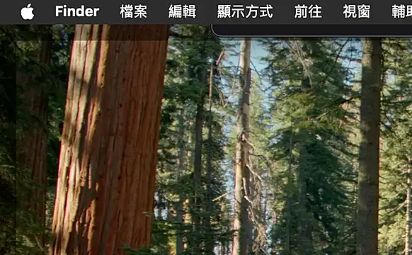 ex199212 online show from 03-08-25, 01:50