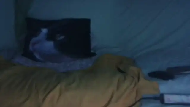 VeneRed online show from 09-17-25, 08:21