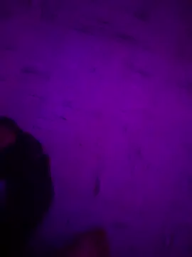 Snapshot of Argento14 chatting on 11-03-25, 05:31 Argento14 online show from 11-03-25, 05:31