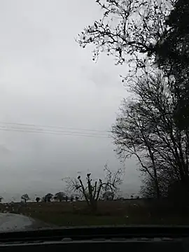 nataliecdlive online show from 11-22-25, 11:09