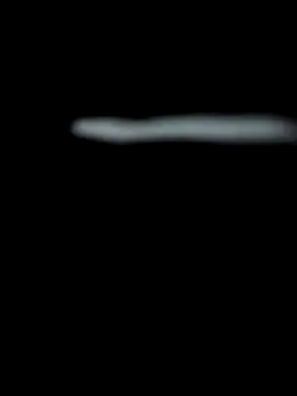 Snapshot of 18_7polla chatting on 12-01-25, 03:00 18 7polla online show from 12-01-25, 03:00