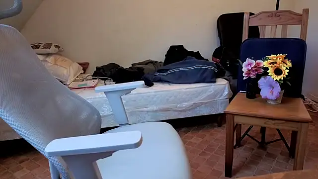 SteveStiffbone online show from 04-06-26, 02:18