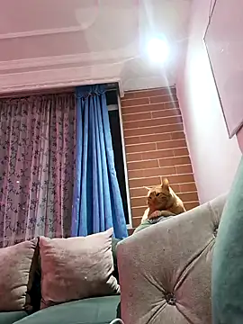 devi black13  online show from 01-10-25, 06:09