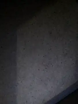 Leocesar37 online show from 07-23-26, 04:54