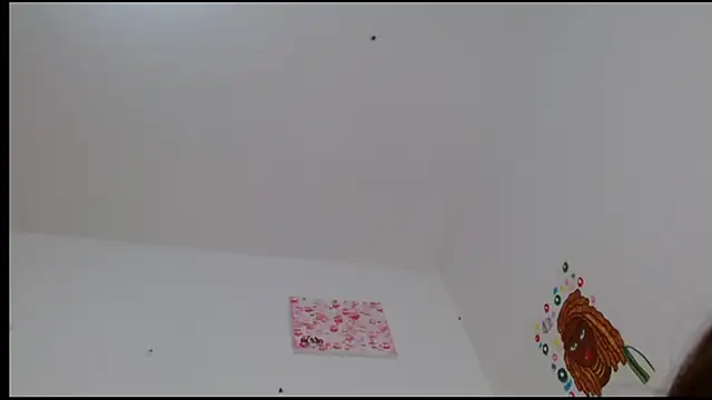 Snapshot of kity__ chatting on 02-24-25, 04:58 kity   online show from 02-24-25, 04:58