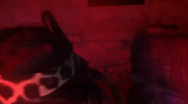 Snapshot of iva_spirit chatting on 02-09-25, 07:52 iva spirit online show from 02-09-25, 07:52