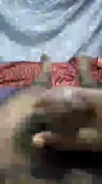 Snapshot of mallucallboy2104 chatting on 01-01-25, 09:09 mallucallboy2104 online show from 01-01-25, 09:09