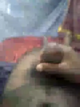 Snapshot of mallucallboy2104 chatting on 01-15-25, 04:47 mallucallboy2104 online show from 01-15-25, 04:47