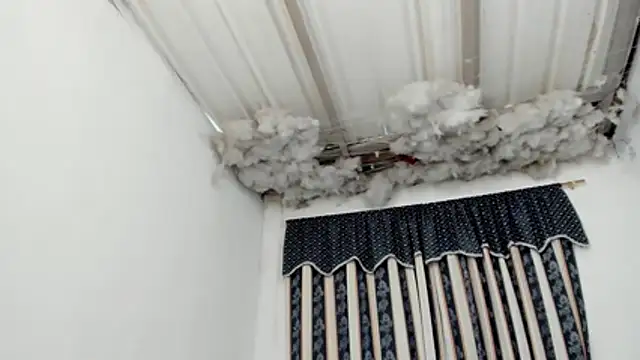 Lauu G online show from 03-07-26, 01:52