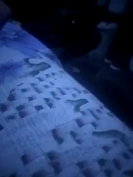 mojita ko kasi online show from 04-09-26, 12:54