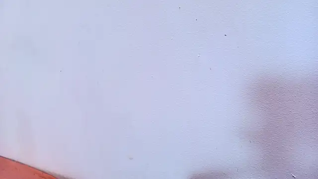 Amy wats0n online show from 03-12-25, 10:07