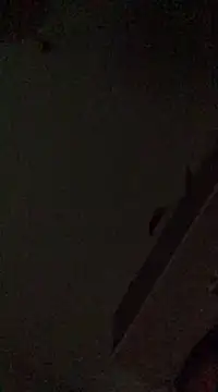 babylonia4sex online show from 12-10-24, 02:50