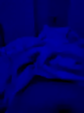 hardyloves online show from 03-16-25, 06:23