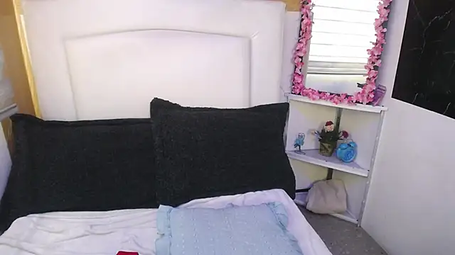 palmer mIix online show from 12-30-24, 01:47