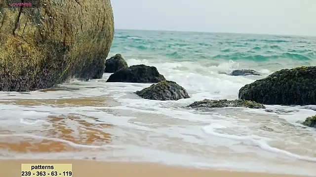  sex in paradise  online show from 01-20-25, 11:54