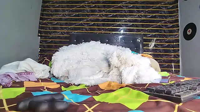 jeffblack2 online show from 04-01-26, 12:28