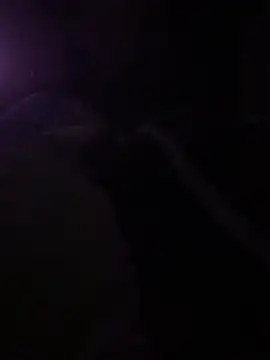 Snapshot of solomec chatting on 03-06-25, 10:26 solomec online show from 03-06-25, 10:26