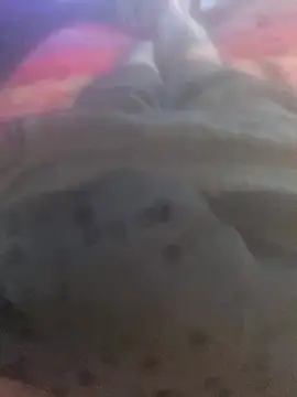 Snapshot of solomec chatting on 09-25-25, 06:39 solomec online show from 09-25-25, 06:39