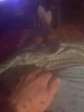 Snapshot of solomec chatting on 10-13-25, 08:42 solomec online show from 10-13-25, 08:42