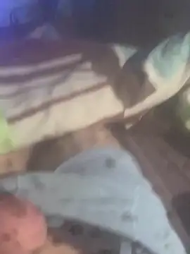 Snapshot of solomec chatting on 11-19-25, 06:35 solomec online show from 11-19-25, 06:35