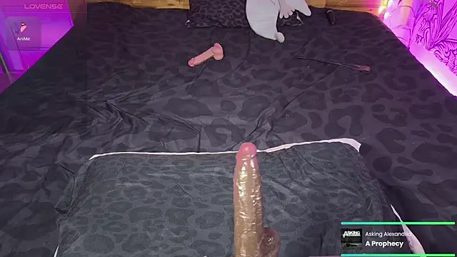 kellycakemeow online show from 06-17-26, 05:21