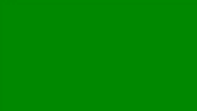 thehagueexpat online show from 04-25-26, 09:45