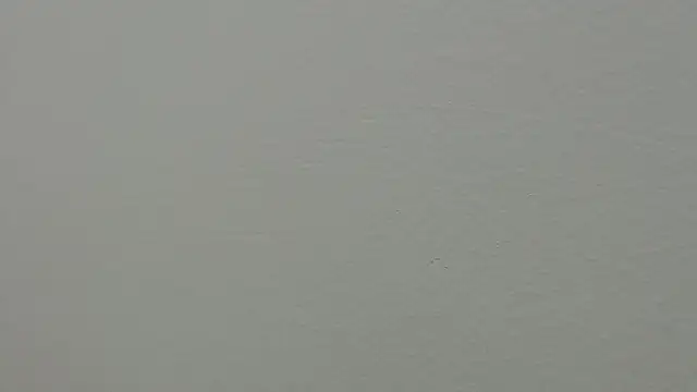 julz 03 online show from 03-01-25, 04:22