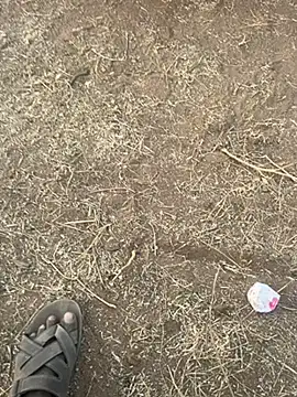 Snapshot of tamil000000 chatting on 03-10-25, 12:48 tamil000000 online show from 03-10-25, 12:48