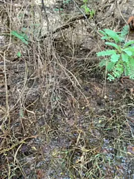 Snapshot of tamil000000 chatting on 03-14-25, 01:27 tamil000000 online show from 03-14-25, 01:27