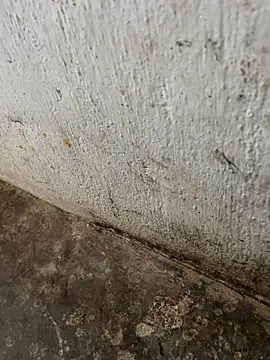 Snapshot of tamil000000 chatting on 11-03-25, 03:30 tamil000000 online show from 11-03-25, 03:30